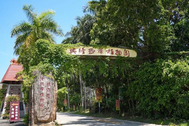 拥抱阳光 奔赴万宁25℃的椰风海韵温暖度假