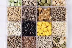 鹦鹉种子粮里都有什么？鹦鹉超全食谱公开图片