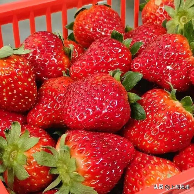 周末去哪儿玩？来杨浦这里“赶集”了