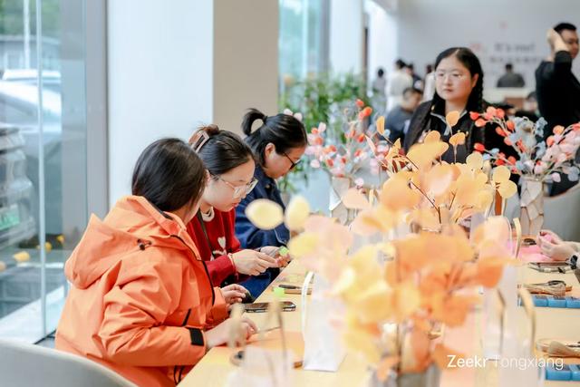 桐乡极氪家盛大开业 科技与人文交汇桐乡汽车商贸城