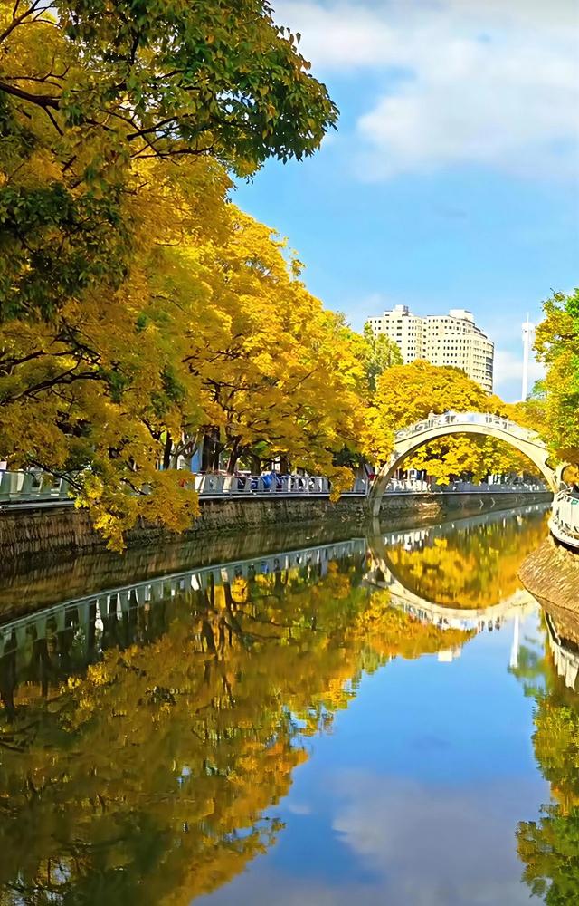 昆明市区最美拍摄地！大观路拱桥滇朴，把浪漫拍成电影帧