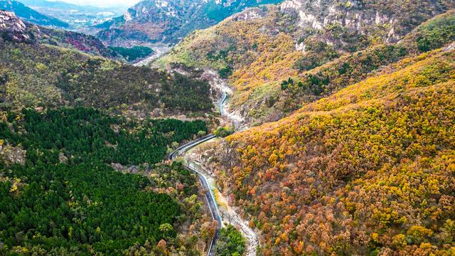 秋景斑斓彩石溪