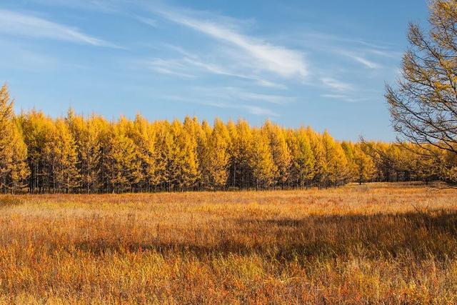 天凉好个秋，露营正当时