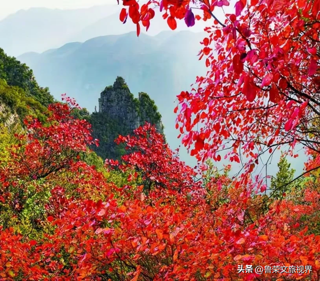 徒步三峡：霜叶漫山处，一步一千年
