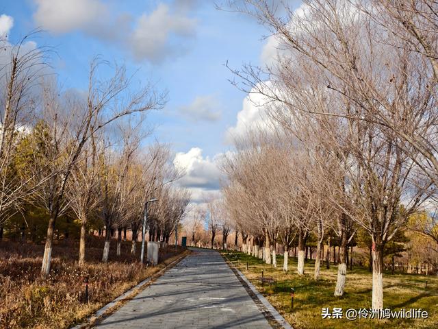 新疆昌吉头屯河公园