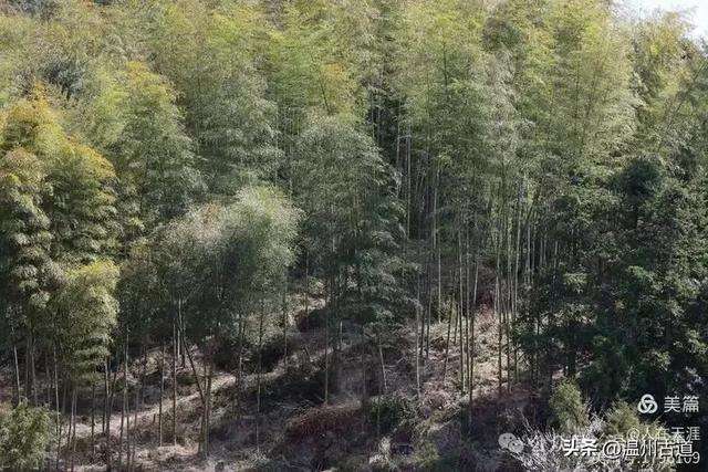 温州最北的千年古村！被人遗忘的深山秘境！