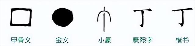古人常说“男丁女口”，丁和口到底有什么不同呢？