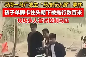 河南男孩被马拖行去世后续 ! 最新通报来了 , 马主或面临巨额赔偿图片