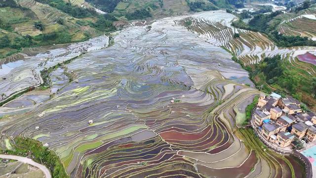 【秀美绿春】将初冬的色彩,藏进梯田的褶皱里