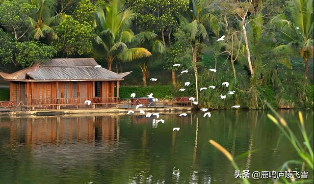 江西各地级市的11个湖泊，哪一家足以匹敌姑苏太湖、杭州西湖？