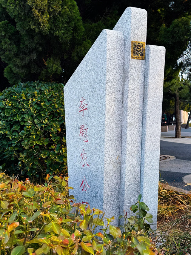 立秋之后，青岛人把养生藏在市南的四个公园里