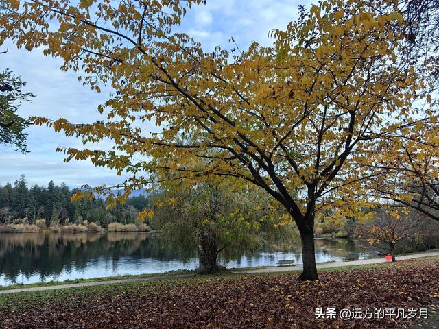 温哥华游记（一）