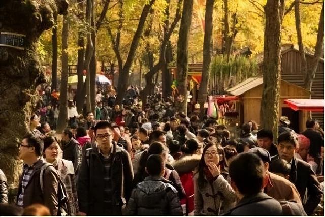 5870个车位+4条接驳线！红枫季正当时