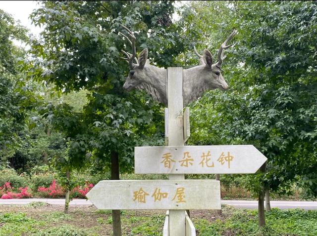不出上海！这5个村子牛到让你怀疑人生！
