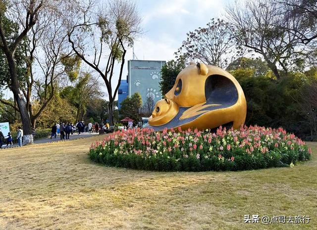 跟着法国总统游成都，24小时内去了哪些景点？成都真的太美了！