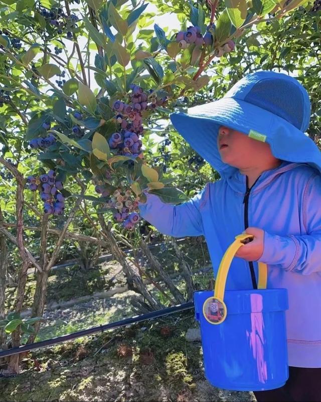 解锁鄂伦春自治旗5条特色旅游线路，带你玩转不一样的风情