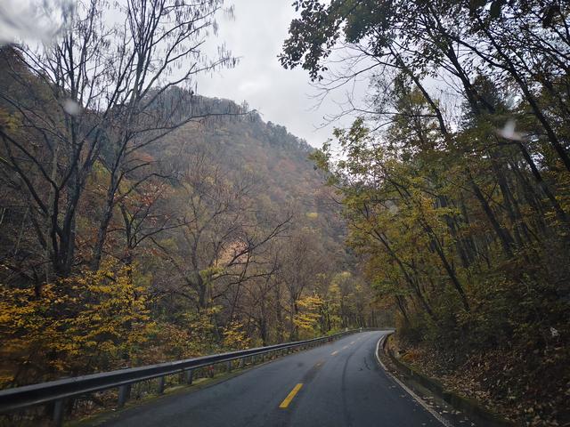 南行漫记：329公里的穿越之路，带你一起看红叶