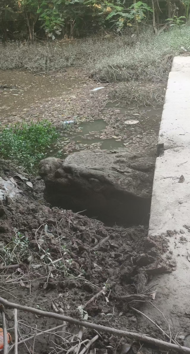 成都简阳：重访东溪桥——在汗水中打捞被遗忘的龙头