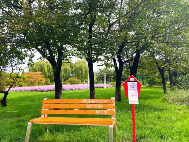 年度盘点：2025年丰台出彩瞬间