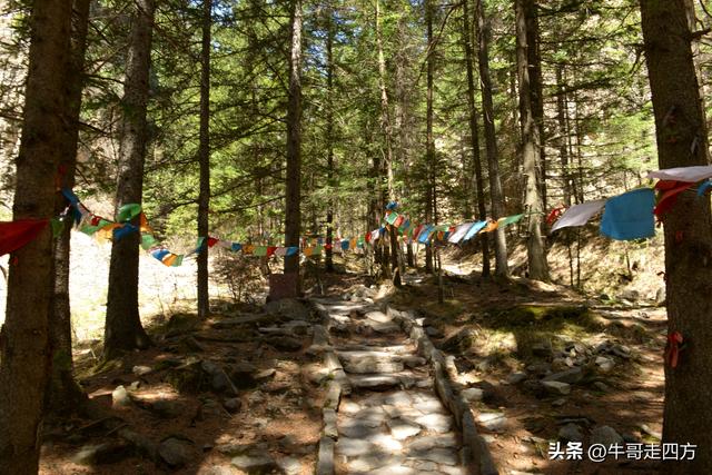 山西宁武万年冰洞：千年冰窟凝寒玉、万载岩穴锁冷光