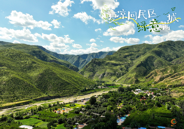 呼和浩特市回民区的夏天，是“植”得N刷的绿！