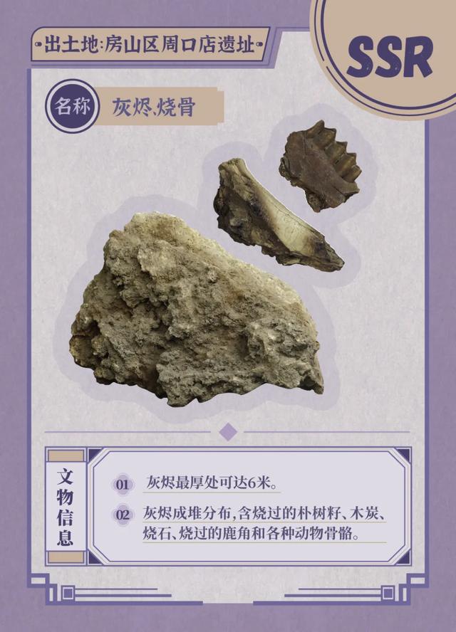 公众考古季丨抽取你的考古“盲卡”——金中都考古体验活动大朋友专场来啦！
