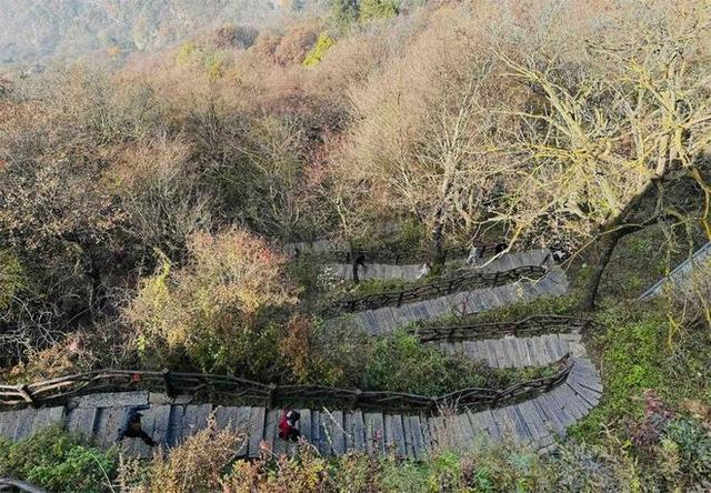 秦岭金秋美如画 层林尽染引客来