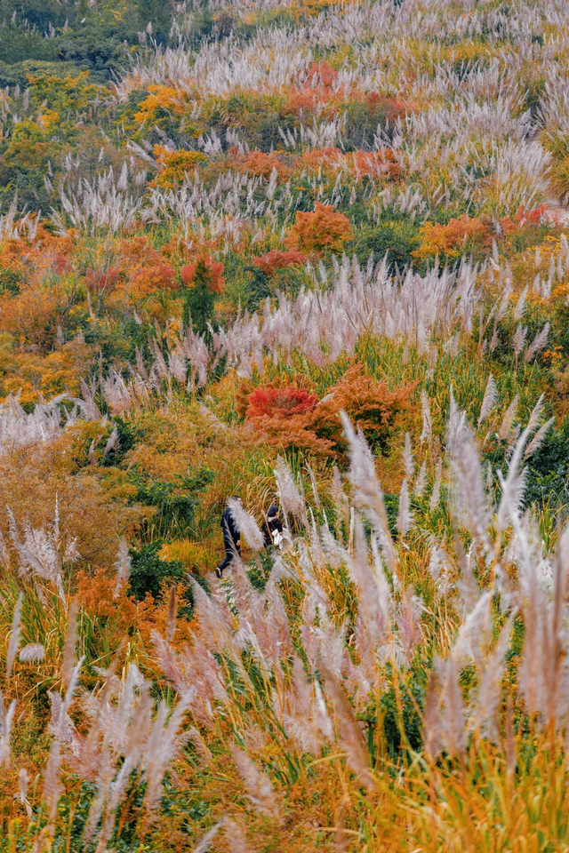 超美超震撼！舍不得公开的徒步秘境N0.1，就在成都金堂！