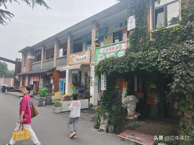 无为在歧路，国庆游淄博4