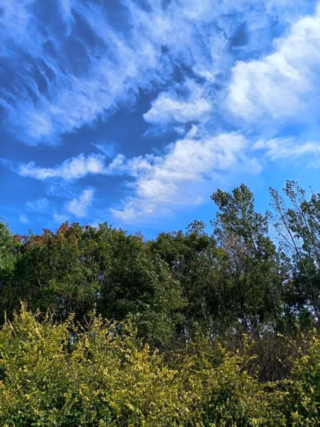 美美Sunday ~赏临港湿地秋景！