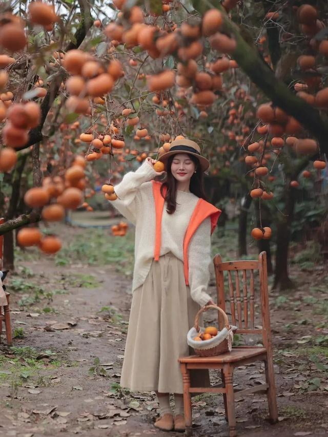 就这一口柿子，盼到冬天了！