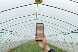 中国移动陕西公司数智“新农具”让产业加速向“新”图片