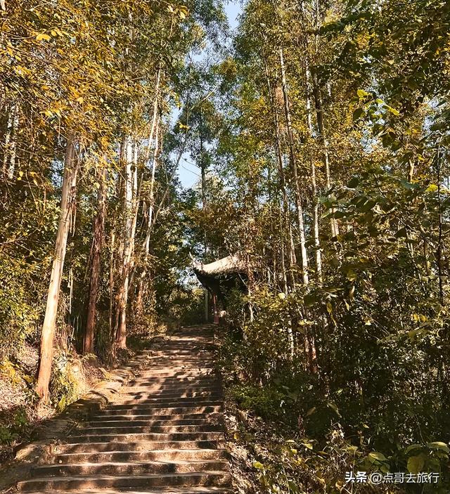 成都彭州“世界级”徒步路线，观景台超级惊艳，不要门票！