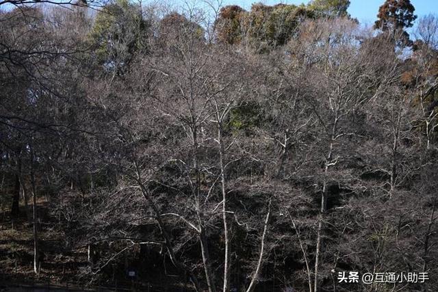 选索尼还是适马？E卡口大光圈长焦变焦镜头巅峰对决！