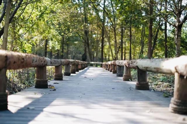 新津人的“小美满”，开启全民晒太阳模式