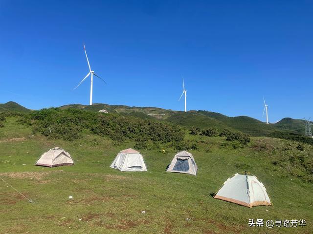 夏日静享阿西里西大草原的那份清凉时光
