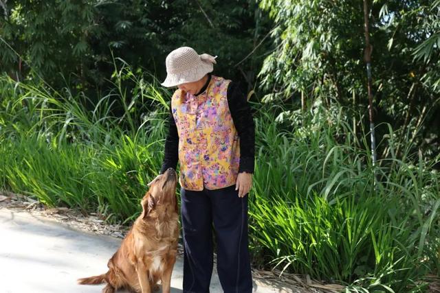 畅游云南 | 普洱墨江：暖冬旅居曼海 “头回客”变“回头客”