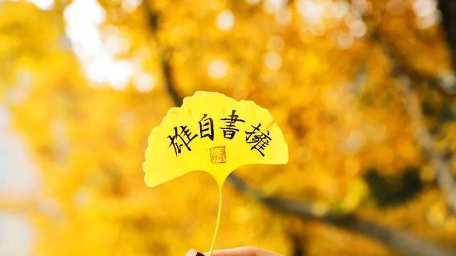 秋日顶流，风景绝美！留下最美的记忆