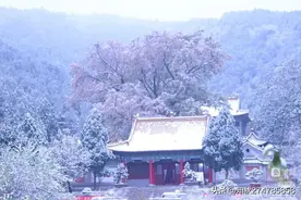 踏雪寻杏，畅游蟠龙图片