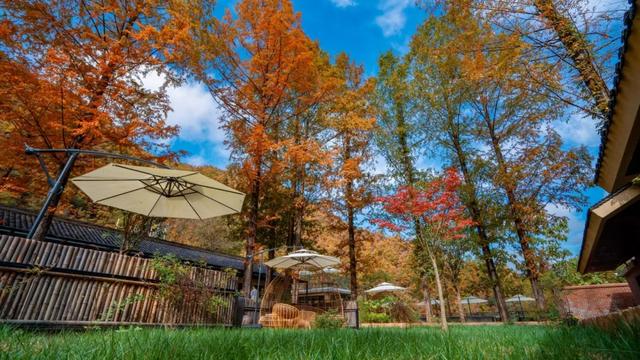 赏秋正当时!自驾来汉中,赴一场秋日视觉盛宴~