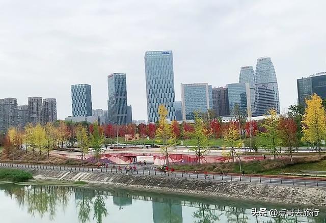 成都这4个彩林会爆火，既壮观又唯美，全部免费，地铁公交直达！