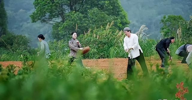 一个被通缉的福建人，带着1000多人逃到海外，建了一座中国城