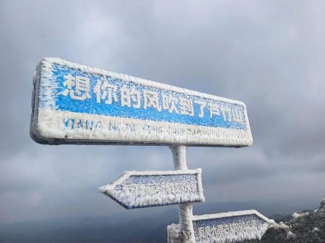 雪景 │ 美到词穷！仁怀首场雾凇惊艳上线