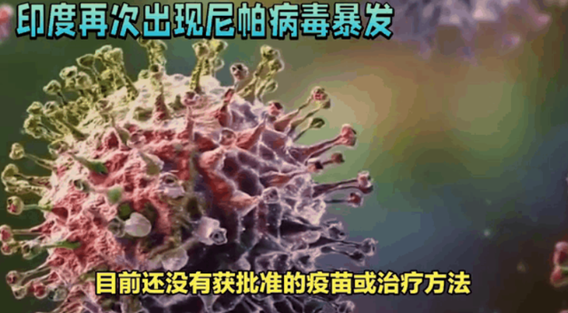 “尼帕病毒”来势汹汹	，呼吁：每家备好5样东西，关键时刻能救命