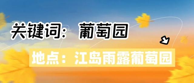 红高粱、向日葵，江心洲打卡正当时