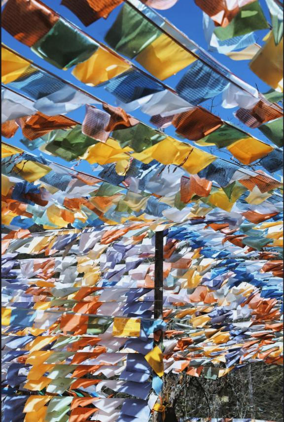 最佳观赏期！雅安的红叶彩林“封神”啦！