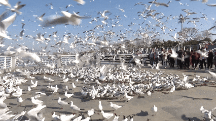 昆明的四季慢生活为何让人上瘾？