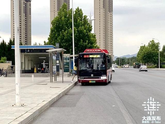 周周都有演唱会，大连文旅IP上新！
