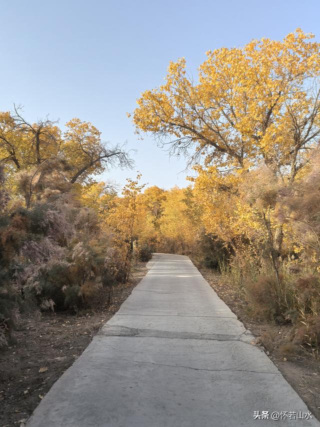 2025环南疆沙漠铁路背包自由行日记(6)---游览巴楚红海胡杨林景区