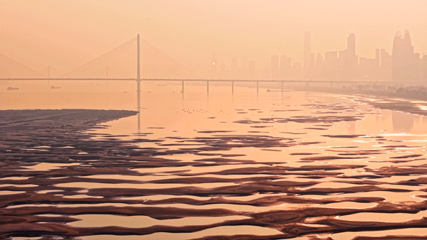 沙漠踏雪，只在武汉，最佳观赏期到了！